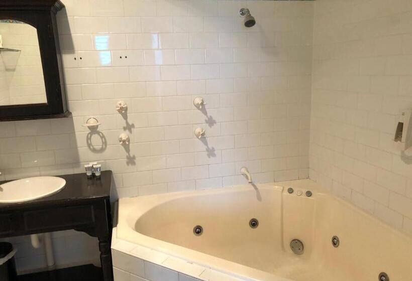 سوئیت دلوکس 2 خوابه, Squid S Ink Motel