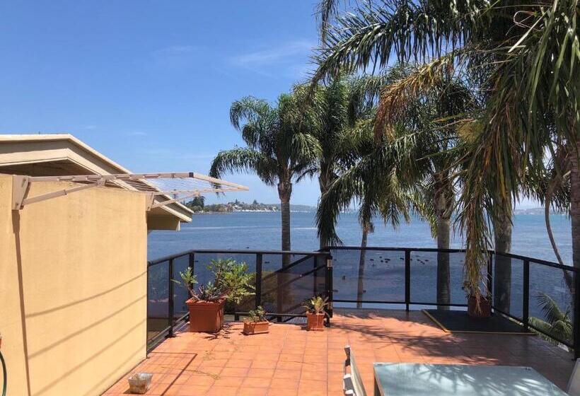 سوئیت دلوکس 2 خوابه, Squid S Ink Motel