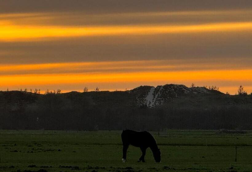 Номер Стандарт, Bed And Relax Terschelling