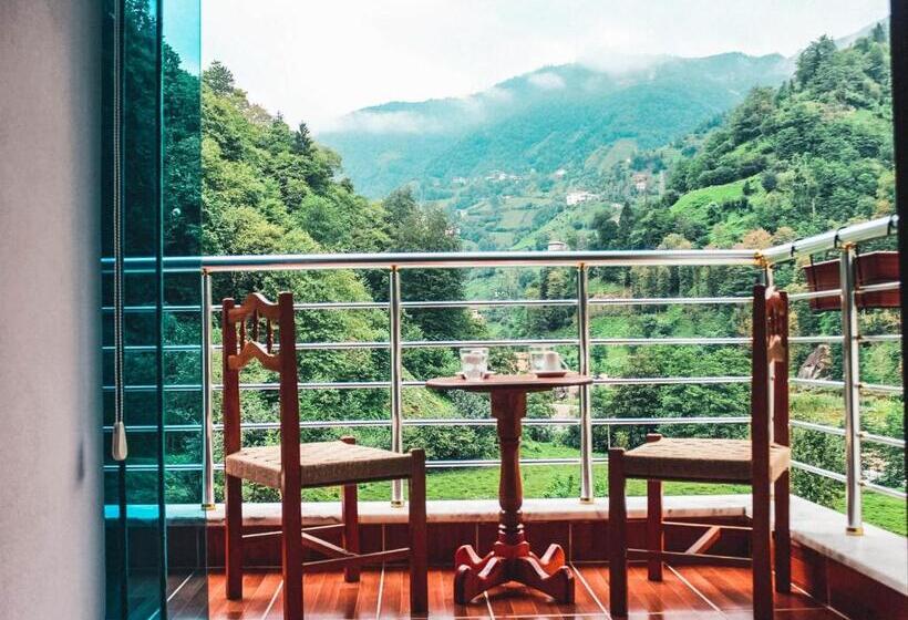 דירת חדר, Pallas Suit