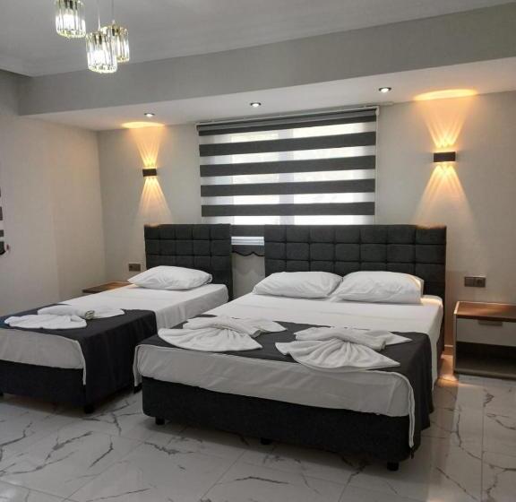 컴포트 트리플 룸, Olive