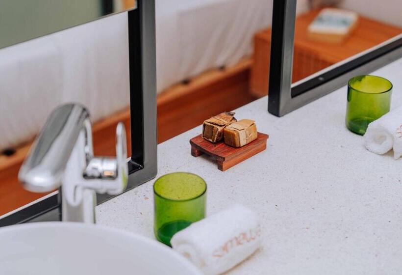 غرفة قياسية, Samawa Living