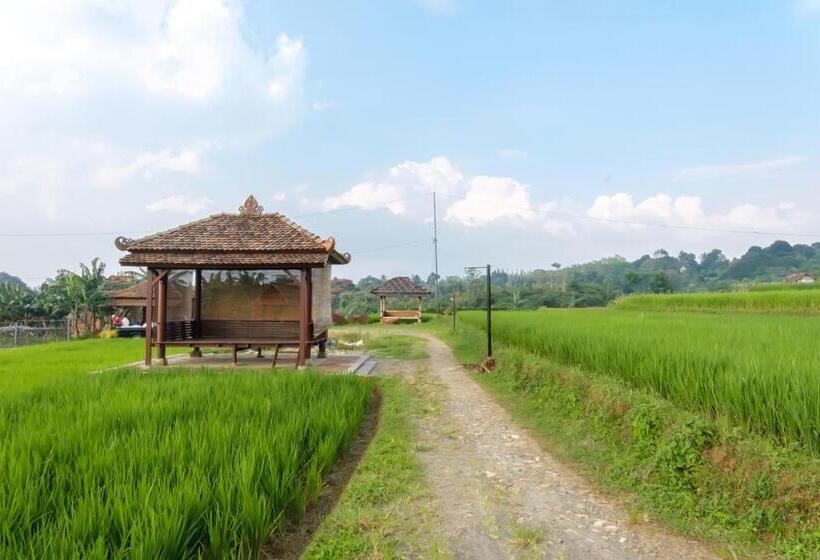 Номер Стандарт Совместная Ванная, Twospaces Living At Deros Resort & Cafe, Bogor