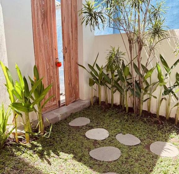 דירת חדר, Y&j