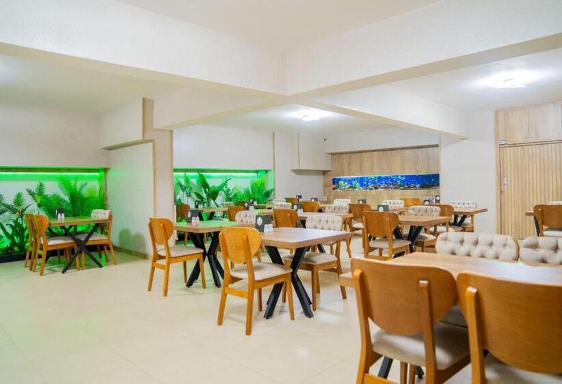 آپارتمان 1 خوابه با چشمانداز, Gül Resi̇dence