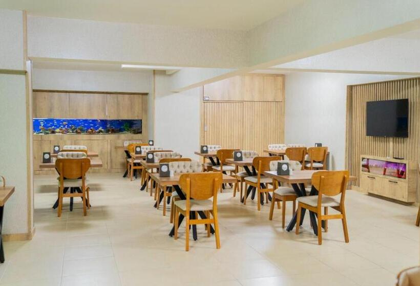 آپارتمان 1 خوابه با چشم‌انداز, Gül Resi̇dence