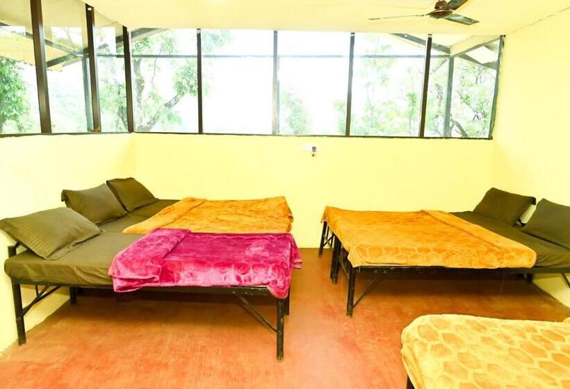 家庭间, Jungle Adventure Homestay