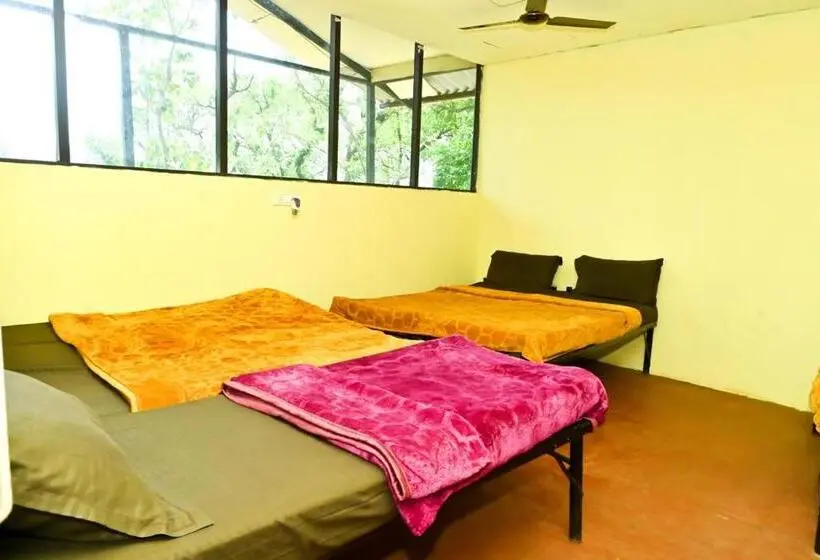 ファミリールーム, Jungle Adventure Homestay