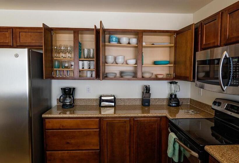 شقة غرفة واحدة مطلة على البحر, Paraiso Del Mar Condominiums