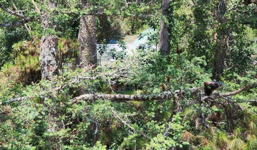 سوئیت با وان آب گرم, Lhasa