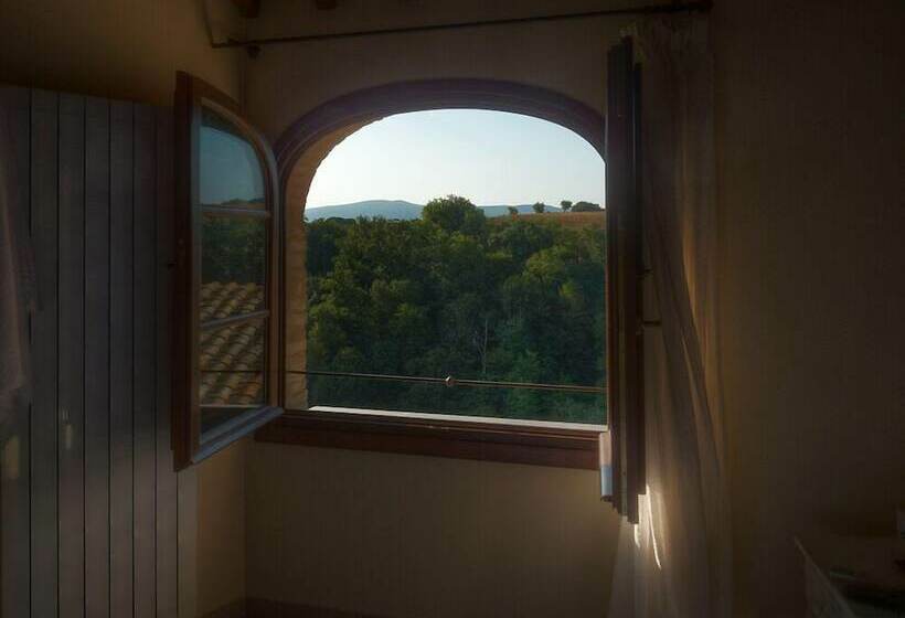 Номер Стандарт, Arnolfo B&b