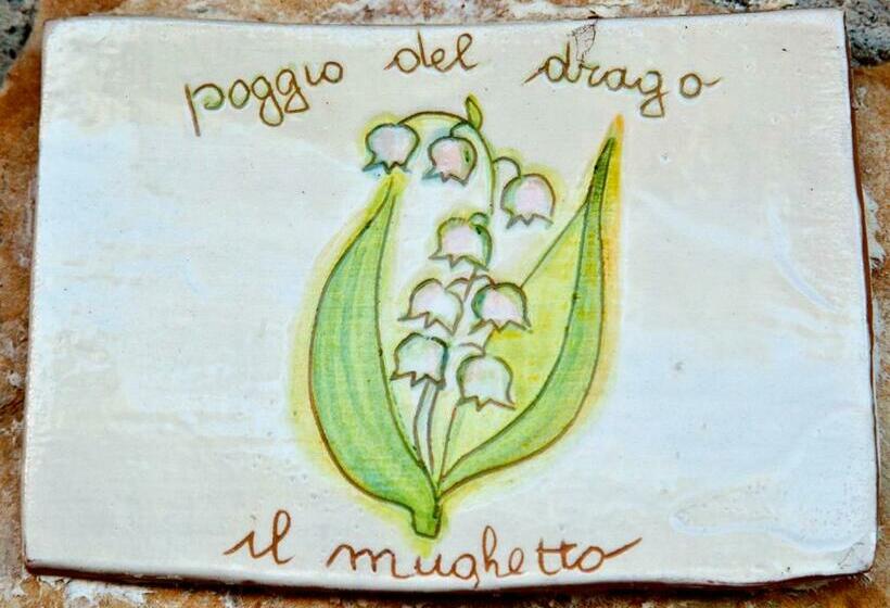 غرفة قياسية, Agriturismo Poggio Del Drago