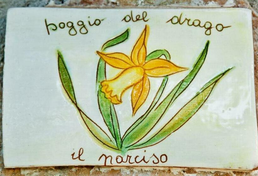 غرفة قياسية, Agriturismo Poggio Del Drago