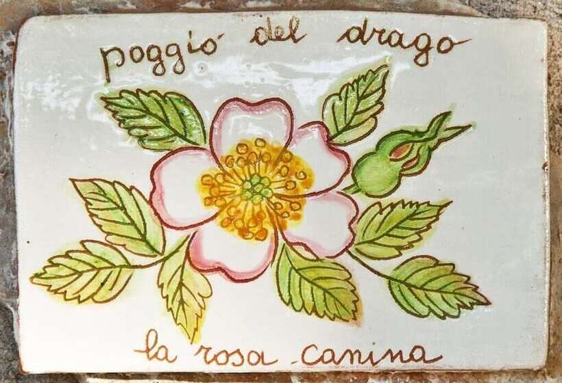 غرفة قياسية, Agriturismo Poggio Del Drago