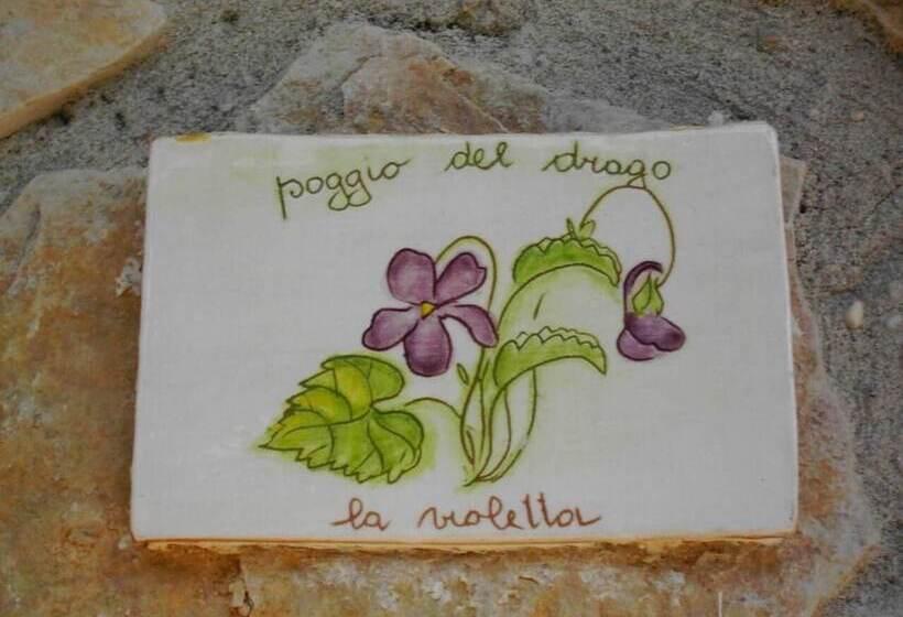 Номер Стандарт, Agriturismo Poggio Del Drago