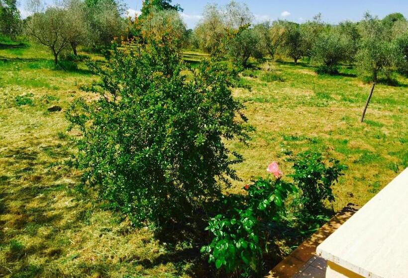 آپارتمان 2 خوابه, Maremma Nel Tufo