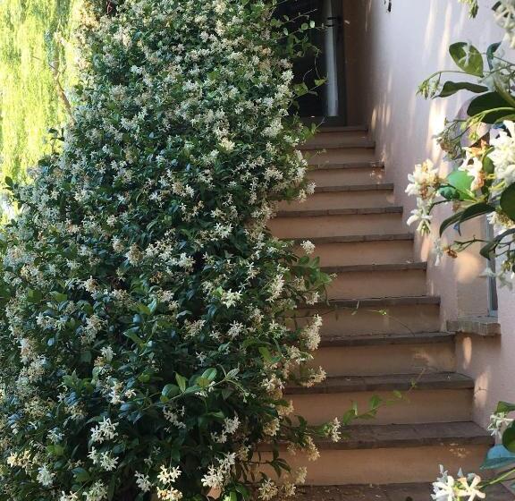 חדר סטודיו סטנדרד, La Fratta Art  House