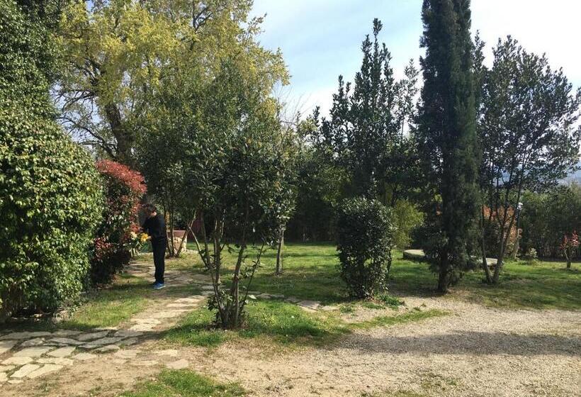 חדר סטודיו סטנדרד, La Fratta Art  House