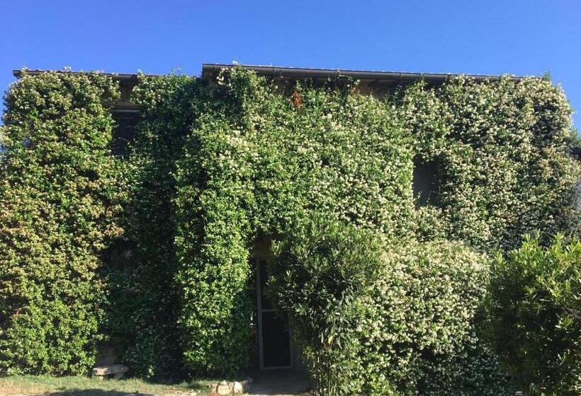 דירת חדר נוף לגינה, La Fratta Art  House