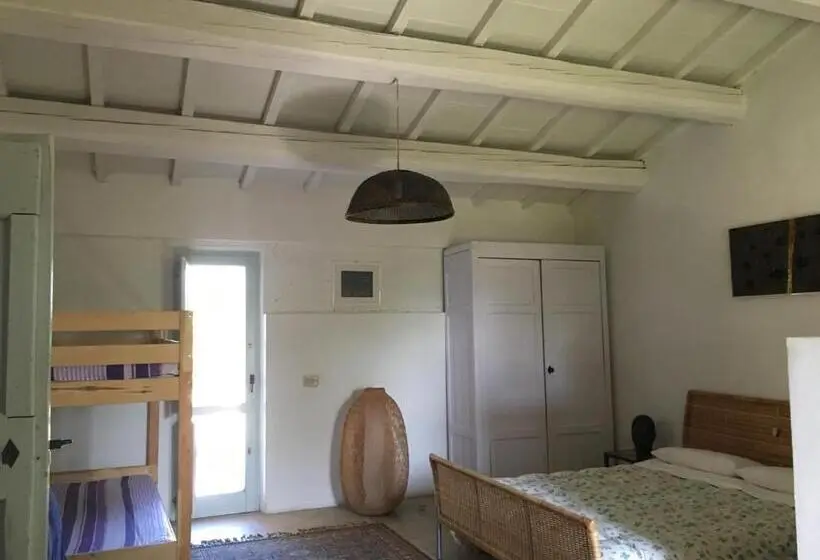 Standard-studio, La Fratta Art  House