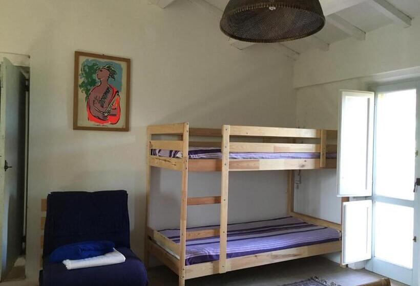 חדר סטודיו סטנדרד, La Fratta Art  House