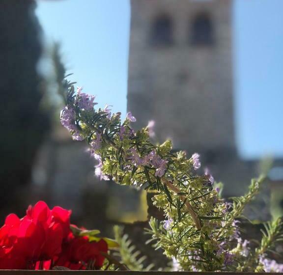 Полулюкс с Видом, The Tower Of The Old King