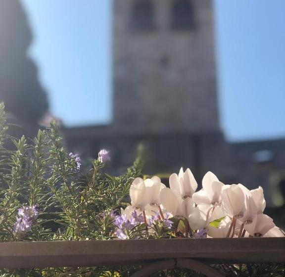 Полулюкс с Видом, The Tower Of The Old King