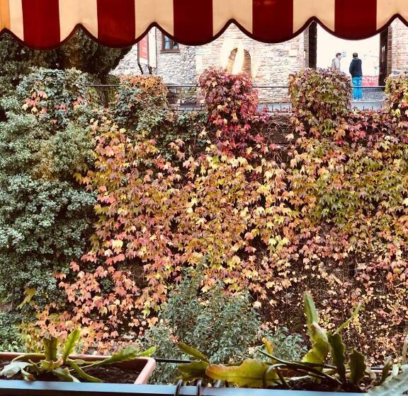 Полулюкс Повышенной Комфортности, The Tower Of The Old King