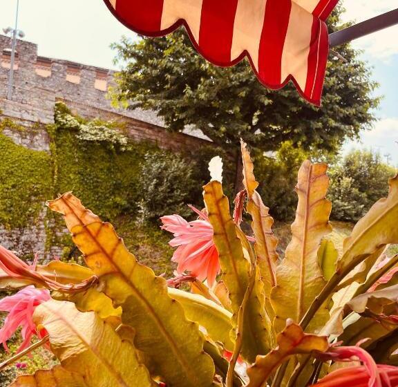 Полулюкс Повышенной Комфортности, The Tower Of The Old King