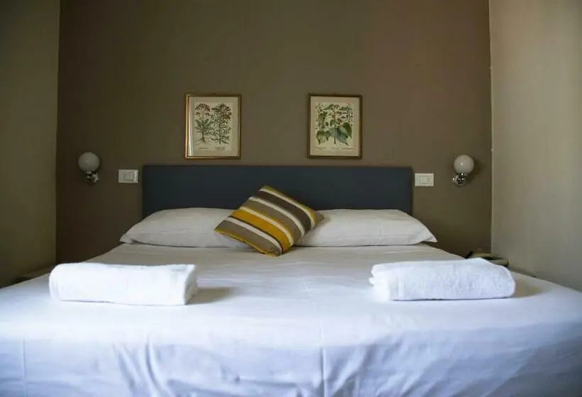 Standard-huone, Arianna