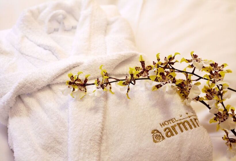 Номер Economy, Armin