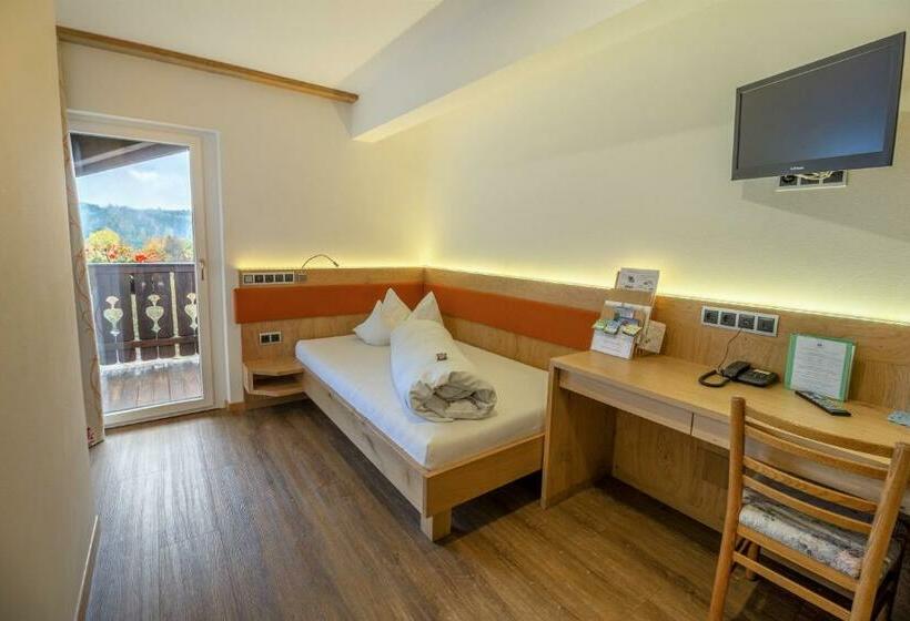 スタンダードシングルルーム, Drei Birken