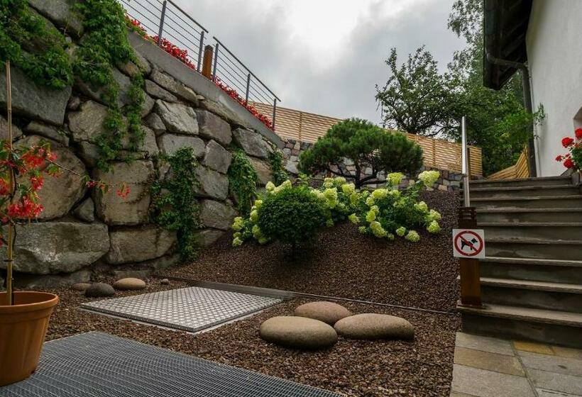 スタンダードシングルルーム, Drei Birken