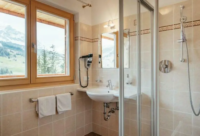 Standard-huone Parveke, Garni Ciasa Urban