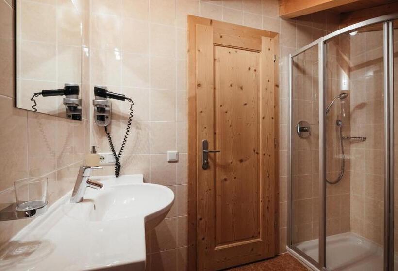 סטודיו סטנדרט עם מרפסת, Garni Ciasa Urban