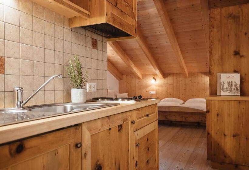 סטודיו סטנדרט עם מרפסת, Garni Ciasa Urban