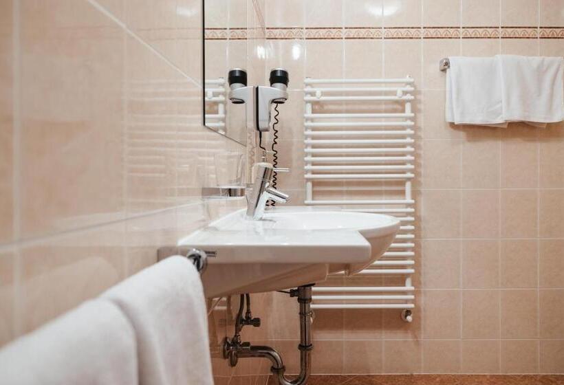 סטודיו סטנדרט עם מרפסת, Garni Ciasa Urban