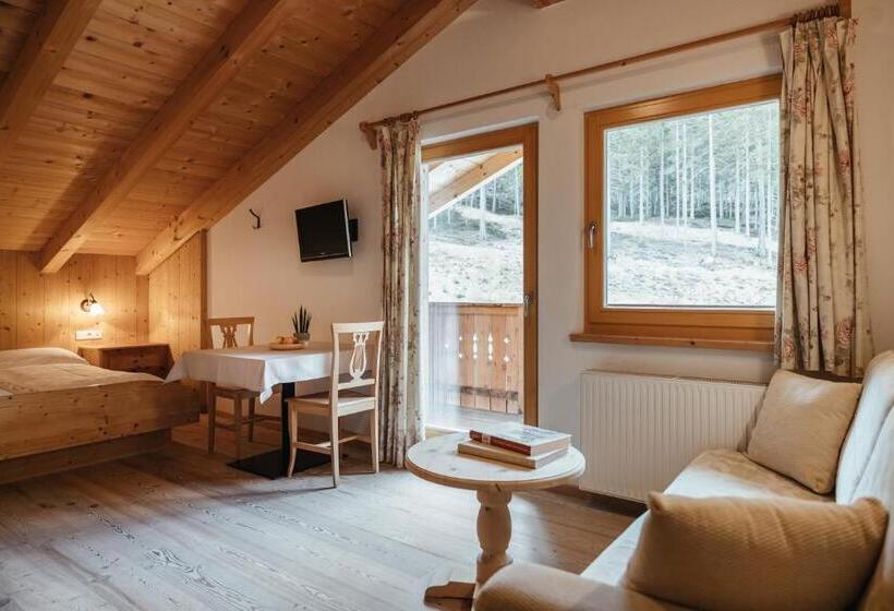 סטודיו סטנדרט עם מרפסת, Garni Ciasa Urban