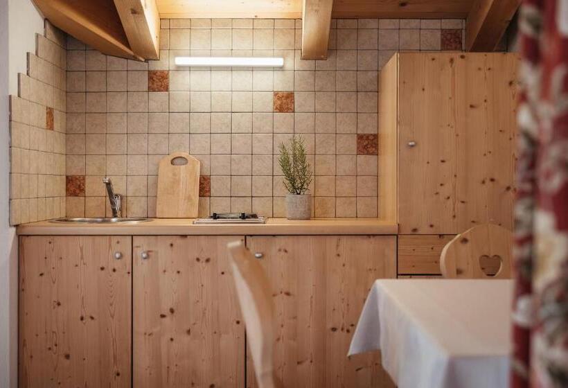 סטודיו סטנדרט עם מרפסת, Garni Ciasa Urban