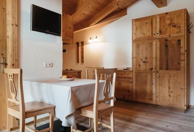 סטודיו סטנדרט עם מרפסת, Garni Ciasa Urban