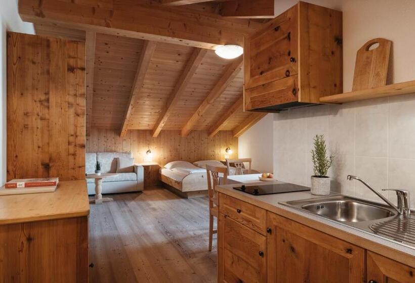 סטודיו סטנדרט עם מרפסת, Garni Ciasa Urban