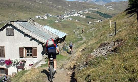 Camera Quadrupla Standard, La Tea