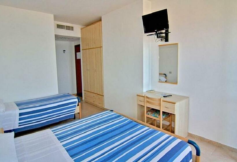 エコノミー4人部屋, Palmarosa