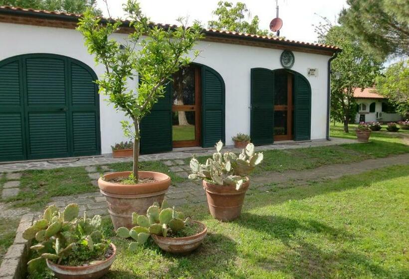 آپارتمان 1 خوابه, Podere Chiusa Grande
