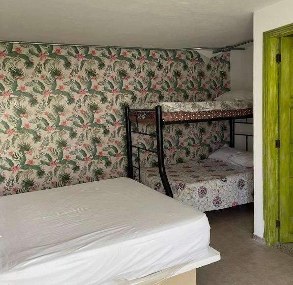 园景标准四人间, Tierra Nueva Campestre