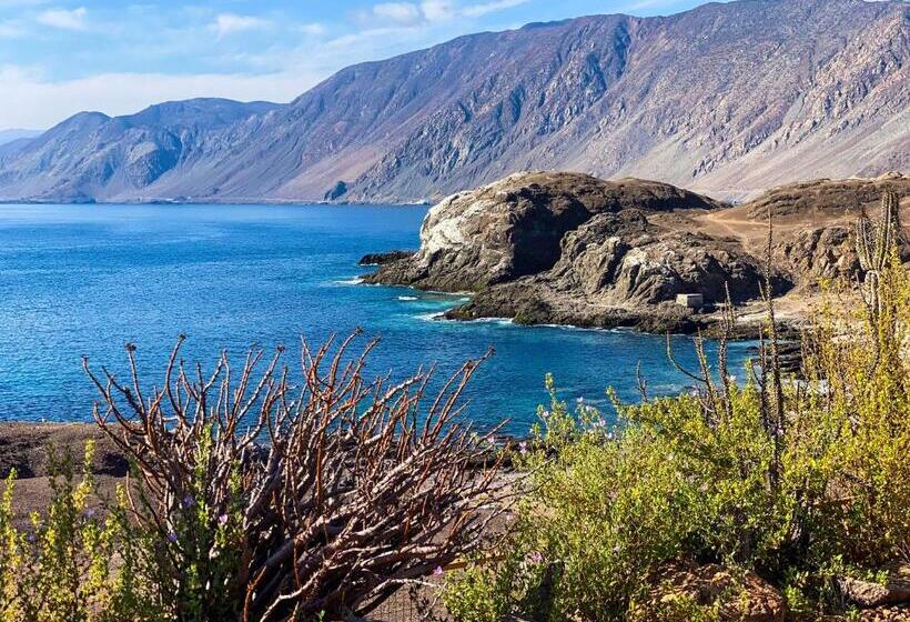 Люкс Кровать Кинг, Cabañas Caleta Hueso