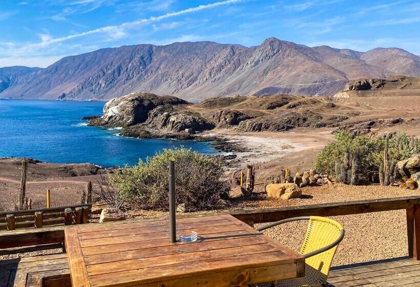 带大床的套房, Cabañas Caleta Hueso