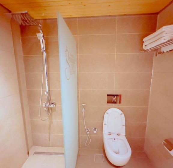 标准三人间, Granada