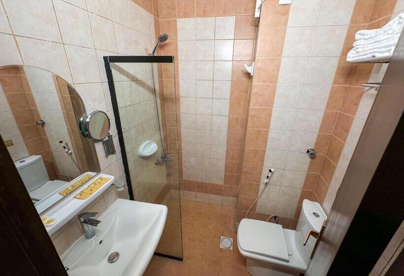 スタンダードルーム, Capital Guest