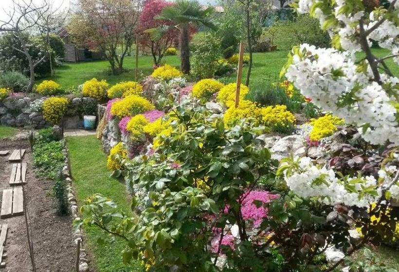 ガーデンビュースタンダードルーム, B&b La Betulla